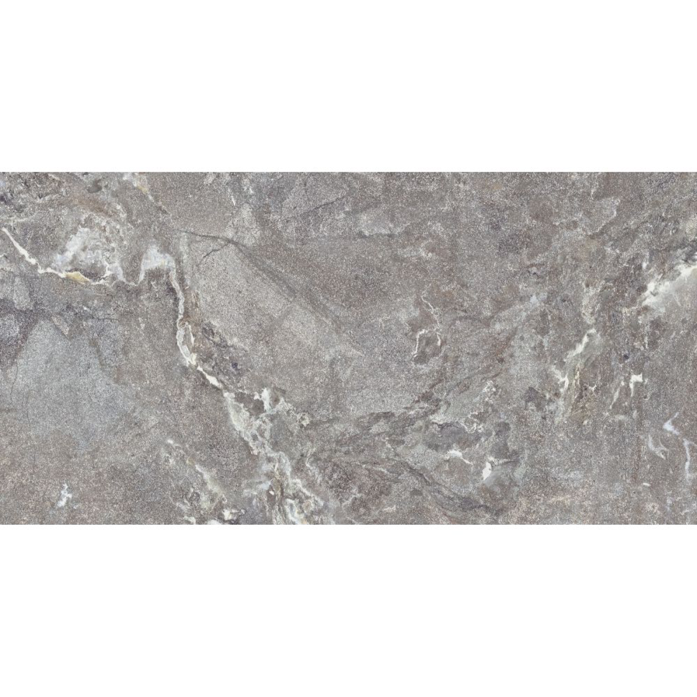 Gresie portelanata rectificata Snake Stone Grey  60X120  mata