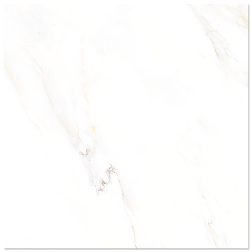 Gresie portelanata rectificata Calacatta White  58 x 58  lucioasa