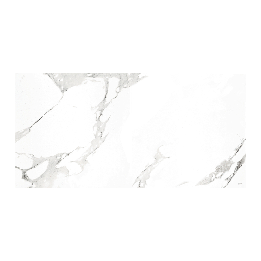 Gresie portelanata rectificata Carrara  60 x 120  mata