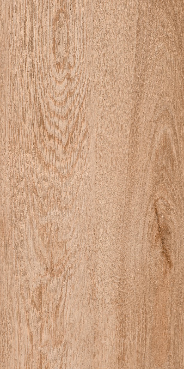 Gresie portelanata Wood Beige  30X60  mata